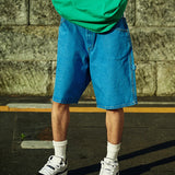 Dickies/ディッキーズ DENIM CARRPAINTERS SHORT