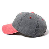 TOY MACHINE SECT EYE TWO TONE CAP