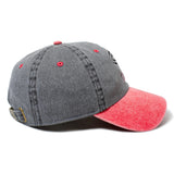 TOY MACHINE SECT EYE TWO TONE CAP
