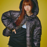 GALFY-パフパフ泥棒ジャケット