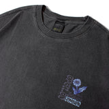 CPGN STUDIO-SSTEE-2