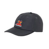 TOY MACHINE/トイマシーン TOYMONSTER POLY CAP