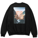 POLER ROLL DOWN CREW